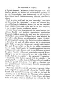 Das Problem der Befahrung des Weltraums - der Raketenmotor von Hermann Noordung - Seite 95